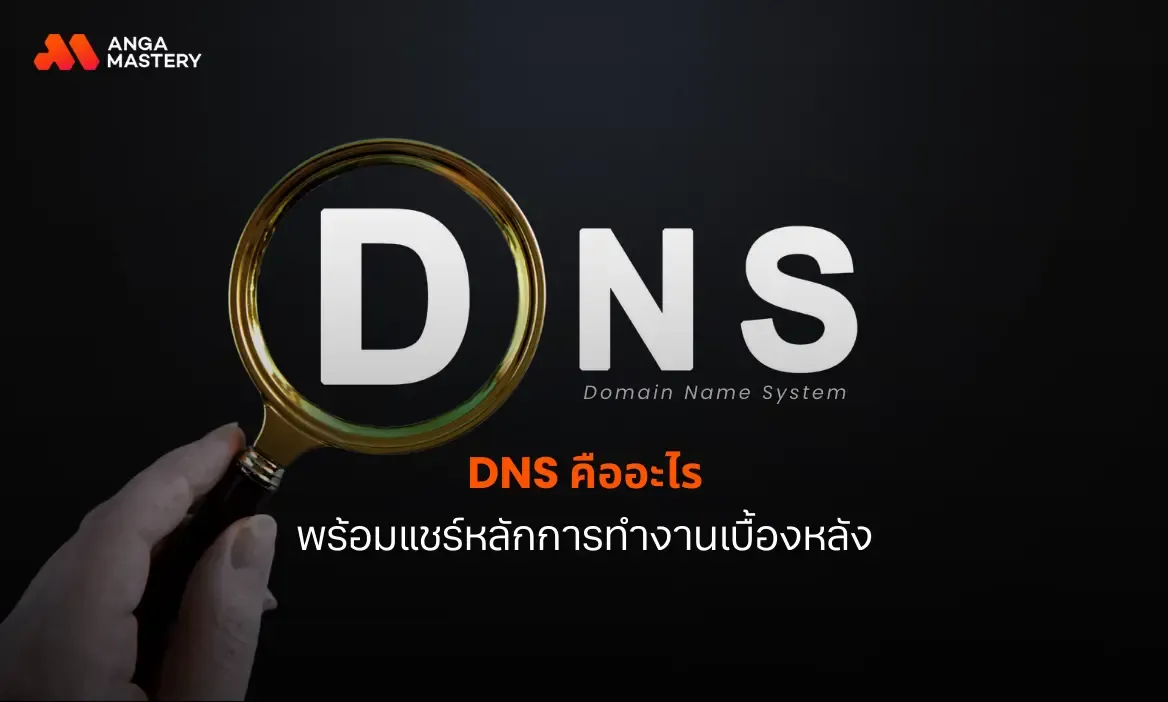 อธิบาย DNS คืออะไร ไม่ใช่สายเทคอ่านแล้วก็เข้าใจได้